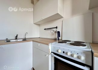 1-ком. квартира в аренду, 39 м2, Санкт-Петербург, Дальневосточный проспект, 25к1, метро Елизаровская