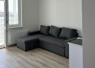 Квартира на продажу студия, 26.4 м2, деревня Анкудиновка, Русская улица, 18