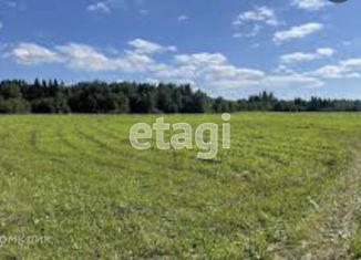 Участок на продажу, 20 сот., село Нижние Прыски