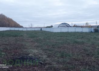 Продажа участка, 25 сот., поселок Ишлеи, улица Спутника, 14