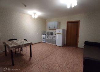 Сдаю в аренду квартиру студию, 33 м2, Пермь, улица Крылова, 15А, ЖК Данилиха