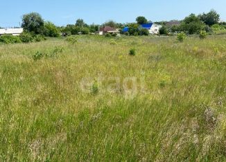 Продаю участок, 40 сот., деревня Житово-Глаголево