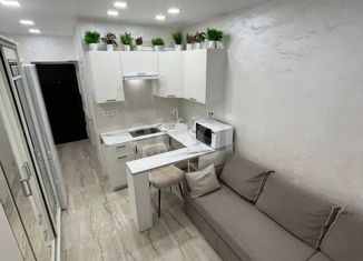 Продаю квартиру студию, 20 м2, Михайловск, улица Александра Грибоедова, 3/3