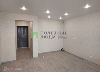 Продажа 1-ком. квартиры, 30 м2, село Чигири, Октябрьская улица, 3