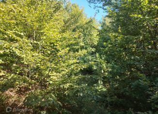 Продажа земельного участка, 4.81 сот., ДНТ Океан