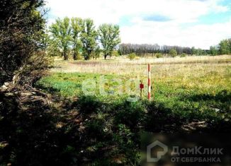 Продажа земельного участка, 24 сот., деревня Альшанские Выселки
