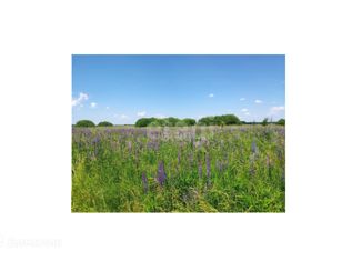 Продается земельный участок, 9.3 сот., поселок Каштановка, Калининградское шоссе