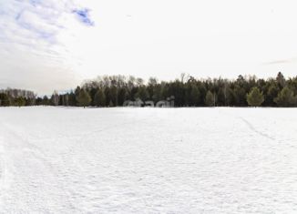 Продажа земельного участка, 10 сот., деревня Московка