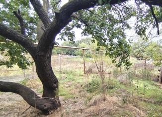 Продам дом, 60 м2, село Супсех, Советская улица