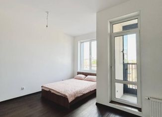 Продам квартиру студию, 23.6 м2, Санкт-Петербург, метро Волковская, Тосина улица, 6