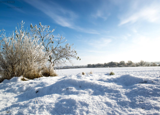 Продажа участка, 12 сот., деревня Муксиново