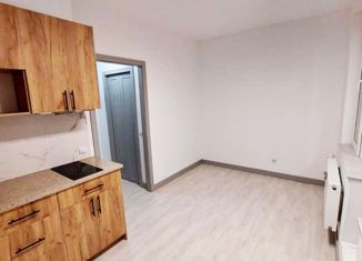 Продам квартиру студию, 22.15 м2, Санкт-Петербург, Планерная улица, 91к1, ЖК Нью Тайм