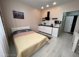 Квартира на продажу студия, 24.6 м2, Краснодар, улица Героя Пешкова, 14к3, ЖК Парк Победы