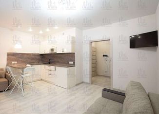 Сдается квартира студия, 32 м2, Казань, улица Вишневского, 59Ак3, ЖК Нестеровский