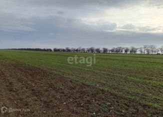 Участок на продажу, 6 сот., Новосельское сельское поселение