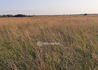 Продам земельный участок, 15 сот., деревня Усть-Заостровская