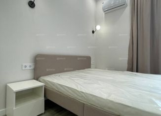 Продаю квартиру студию, 20 м2, Сочи, микрорайон Курортный Городок, улица Ленина, 219/31А