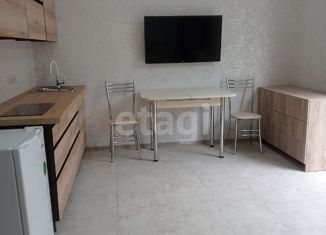 Квартира на продажу студия, 25 м2, село Молдовка, Тимашевская улица, 9/2