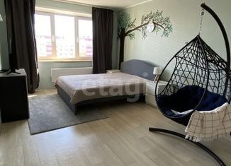 Продажа 1-комнатной квартиры, 43.4 м2, деревня Дударева, улица Созидателей, 6, ЖК Комарово