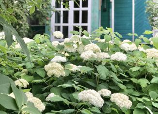 Продам дом, 50 м2, СНТ Отдых, Нижняя улица, 489