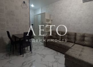 Продам квартиру студию, 20.3 м2, село Весёлое, Коломенский переулок, 3