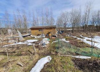 Продажа дома, 18 м2, Новгородская область