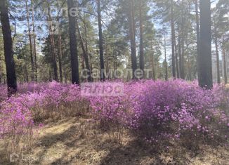 Продаю участок, 10.45 сот., Забайкальский край