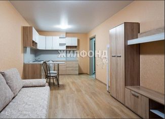 Продажа квартиры студии, 31 м2, Новосибирск, Лазурная улица, 30, Лазурная улица