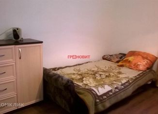 Продается квартира студия, 29 м2, Новосибирск, улица Мясниковой, 6/3, улица Мясниковой