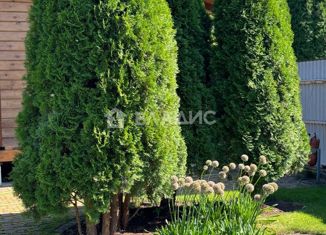 Продаю дом, 58.7 м2, деревня Старые Чути, Речная улица