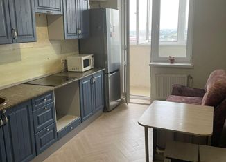 Продаю 1-комнатную квартиру, 43 м2, Краснодар, улица Петра Метальникова, 5к1, ЖК Времена года