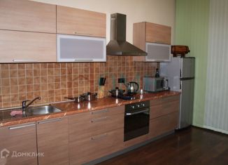 1-комнатная квартира в аренду, 55 м2, Новосибирск, улица Семьи Шамшиных, 18, Центральный район