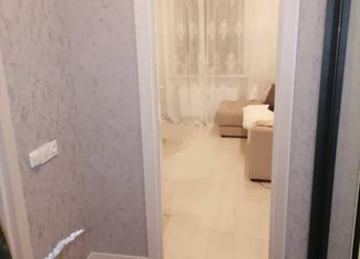 Продаю квартиру студию, 24.6 м2, поселок Бугры, Нижняя улица, 5к3, ЖК Ювента