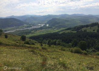 Продаю участок, 3150 сот., село Чарышское, Центральная улица, 8