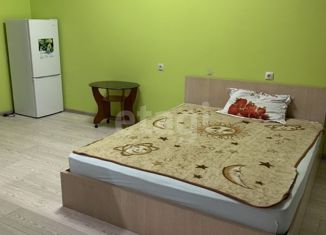 Квартира в аренду студия, 28 м2, Новосибирск, площадь Райсовета, 14, площадь Райсовета