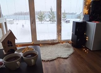 Продаю дом, 40 м2, деревня Веселая Грива