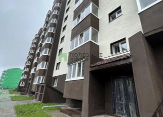 Продам квартиру студию, 27 м2, село Чигири, Красивая улица, 23