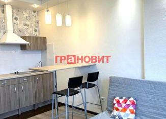 Продам квартиру студию, 24 м2, Новосибирская область, улица Михаила Кулагина, 35