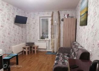 Сдаю в аренду квартиру студию, 23 м2, Новосибирск, улица Петухова, 101, метро Площадь Маркса