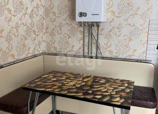 Дом на продажу, 94.2 м2, садовое товарищество Зиповчанка, Ромашковая улица, 245/7