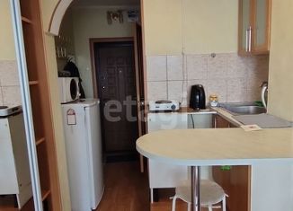 Продается квартира студия, 15.2 м2, Новосибирск, улица Мира, 59, улица Мира