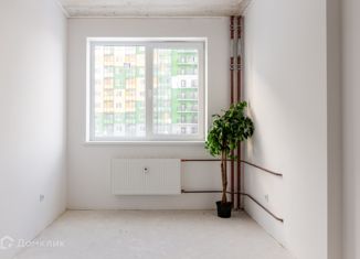 1-комнатная квартира на продажу, 27.15 м2, Мурино, Воронцовский бульвар, ЖК Краски Лета