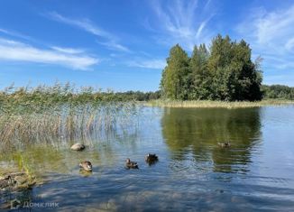 Участок на продажу, 53 сот., деревня Восточное Кончезеро