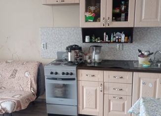 Сдача в аренду квартиры студии, 35 м2, Новосибирск, улица Арбузова, 4/1, Советский район