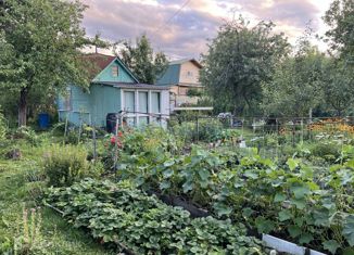 Продается дом, 20 м2, Бор