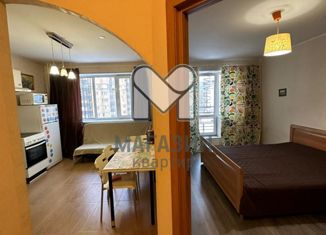 Сдается однокомнатная квартира, 38.5 м2, Санкт-Петербург, улица Михаила Дудина, 25к2, улица Михаила Дудина