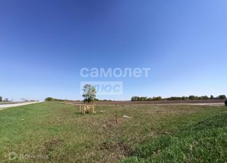 Продажа участка, 820 сот., село Улыбино, Первомайская улица, 55