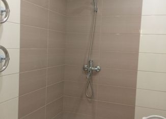 Продажа однокомнатной квартиры, 26 м2, Нижний Новгород, Новокузнечихинская улица, 10, ЖК Новая Кузнечиха