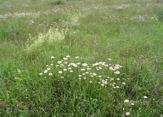 Продажа земельного участка, 13.2 сот., село Борки