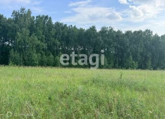 Продажа участка, 12 сот., поселок городского типа Емельяново, Электрический переулок